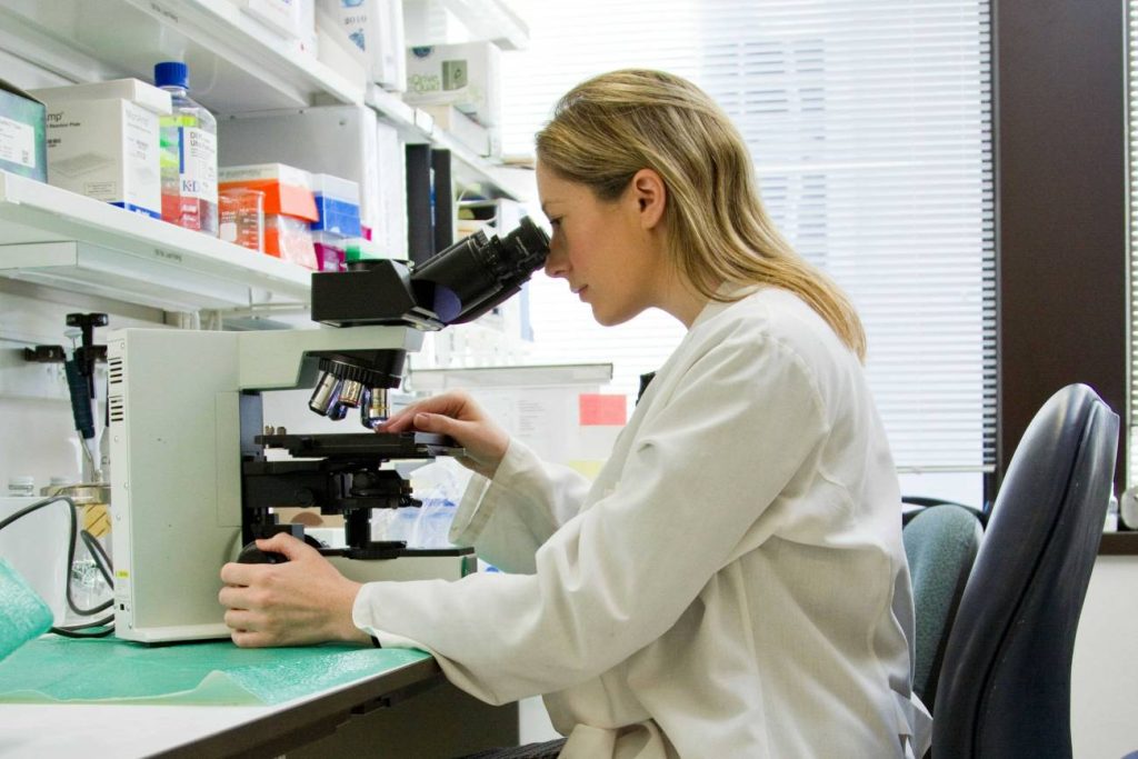 El ministerio de Ciencia concede los Premios Nacionales de Investigación 2026