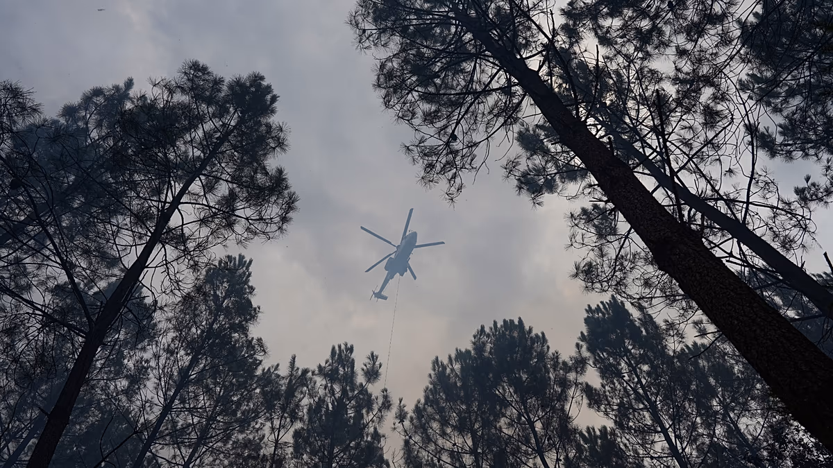 Incendios, el departamento de Var se enfrenta de nuevo a las llamas