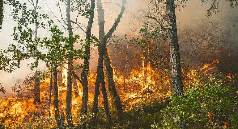 Incendios, Oriente Medio, Uganda… Las noticias del jueves