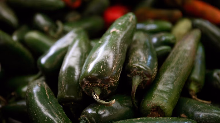 345 casos y 36 hospitalizados por un brote de salmonela en EE.UU. ligado a jalapeños mexicanos