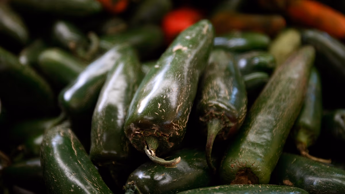 345 casos y 36 hospitalizados por un brote de salmonela en EE.UU. ligado a jalapeños mexicanos