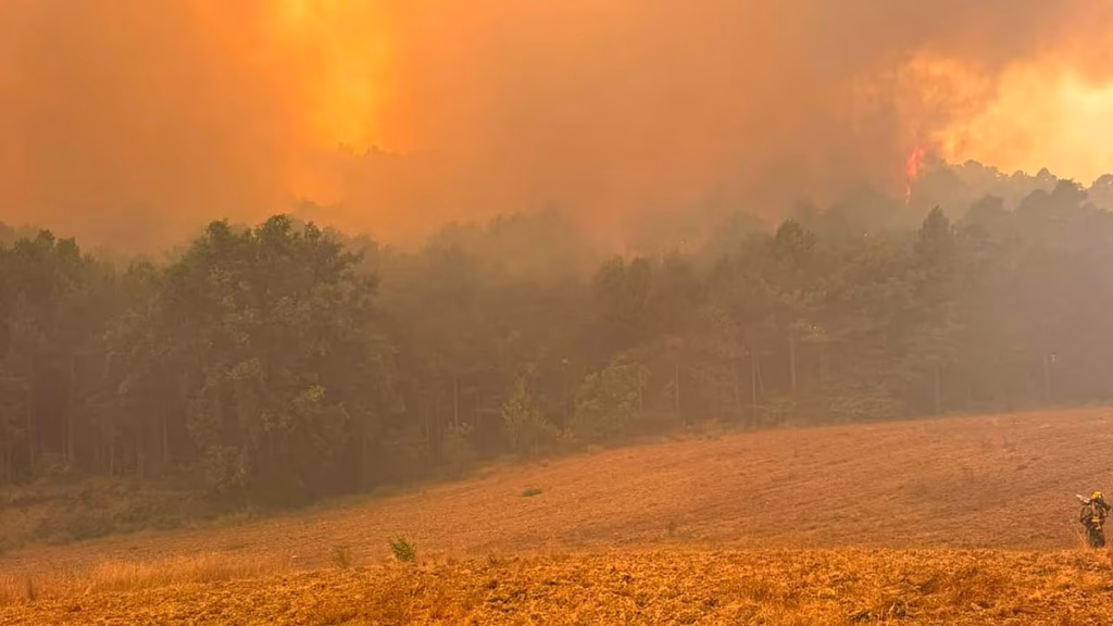 ‘Aragón arde’: miles protestan por la gestión de los incendios “prevenibles y previsibles”