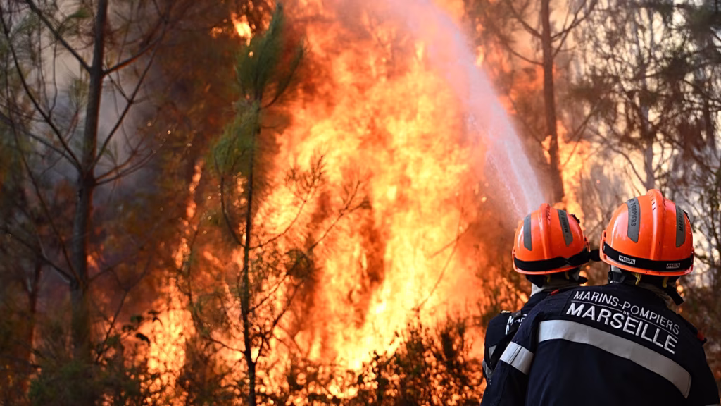 ¿Cómo combate la UE los incendios forestales? Descúbrelo con el chatbot de IA de ‘Euronews’