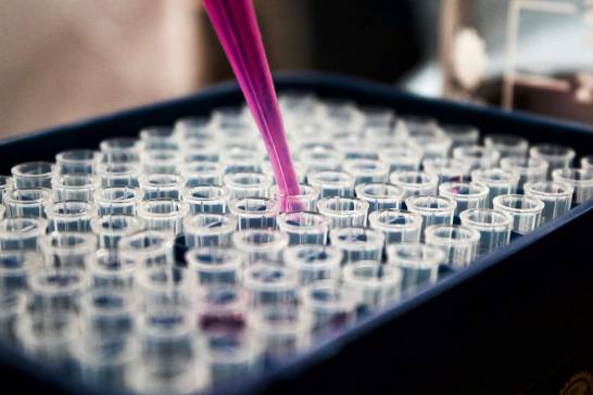 Diseñan con IA un nuevo fago para combatir bacterias