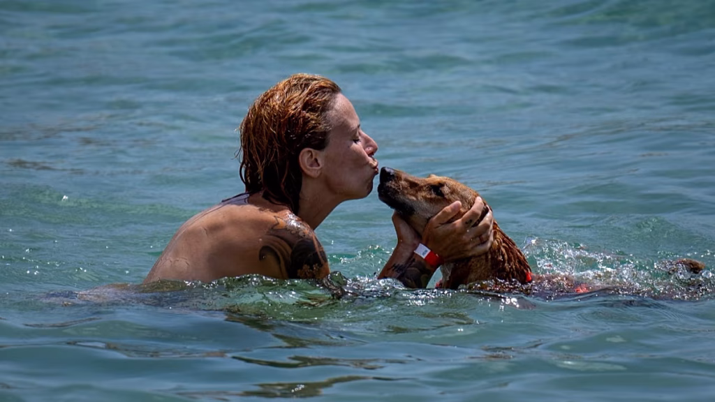El mapa de las playas para perros en España 2026: dónde bañarse con su mascota este verano