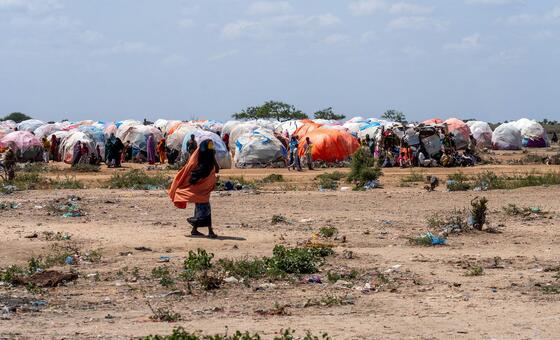 En Somalia, la inteligencia artificial ayuda a llevar alimentos a las familias que pasan hambre