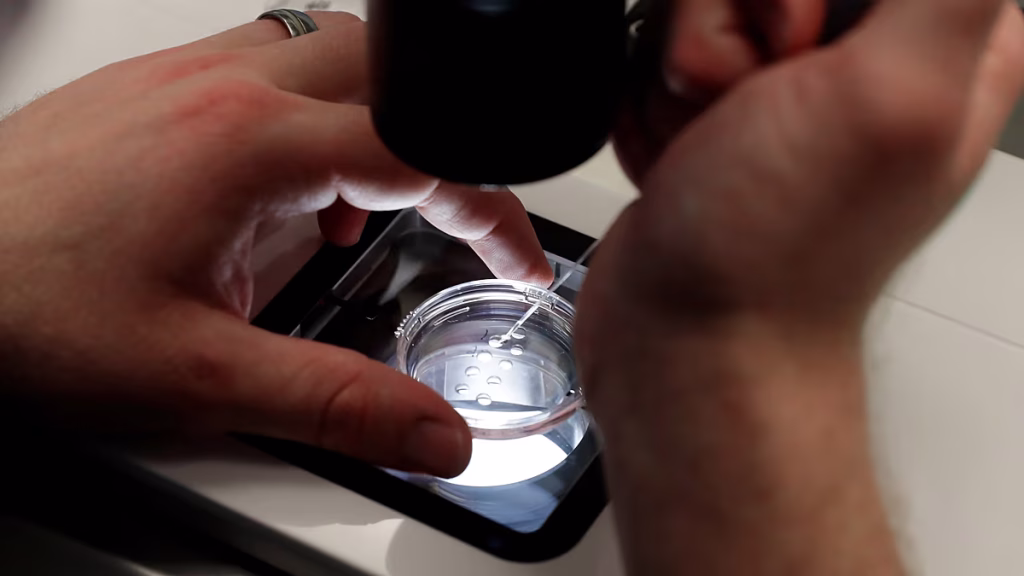 Escándalo de fecundación in vitro en Chipre: usan donantes distintos a los elegidos por padres británicos