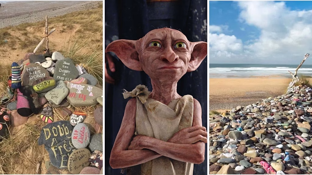 Fans de Harry Potter logran desviar un cable millonario para proteger la tumba de Dobby