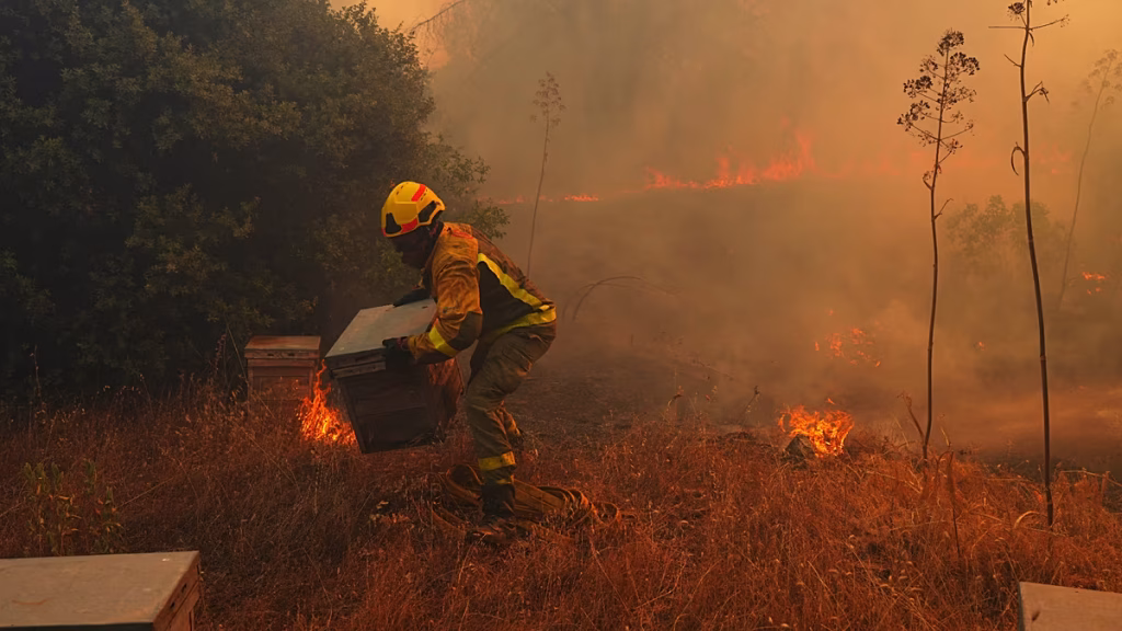 Incendios en España: el fuego avanza en Huelva y Huesca, y da tregua en Segovia