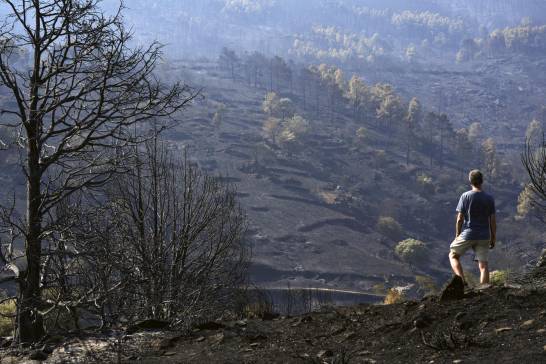 Incendios, mucho más que combustible