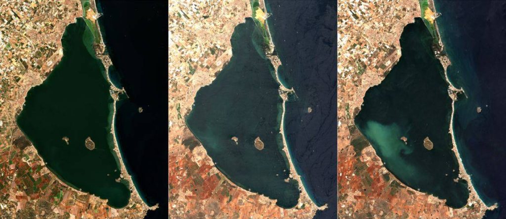 La ‘mancha blanca’ del Mar Menor diezma las poblaciones de peces
