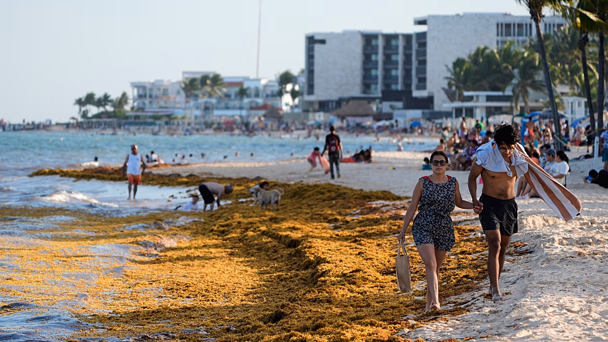 Las 10 multas que debería conocer si visita la playa en España este verano