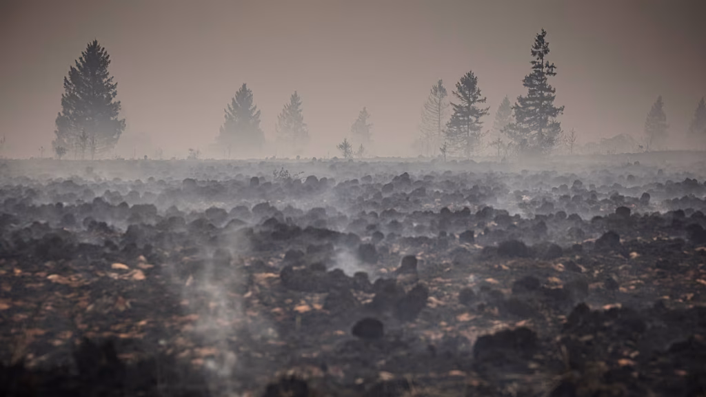 Los Bomberos intentan cercar el mayor incendio de Bélgica en un siglo, que se acerca a Alemania