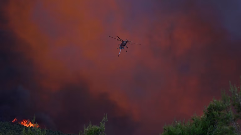 Por qué la UE apuesta por la prevención en su nueva estrategia contra los incendios forestales