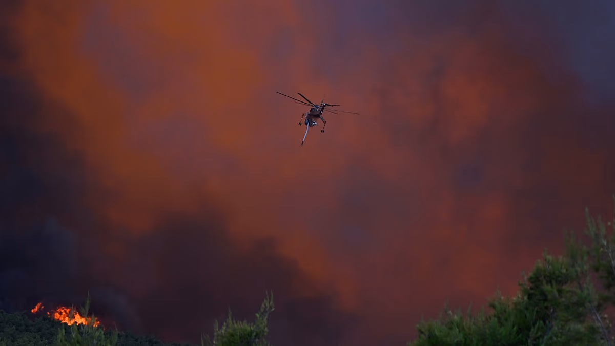 Por qué la UE apuesta por la prevención en su nueva estrategia contra los incendios forestales
