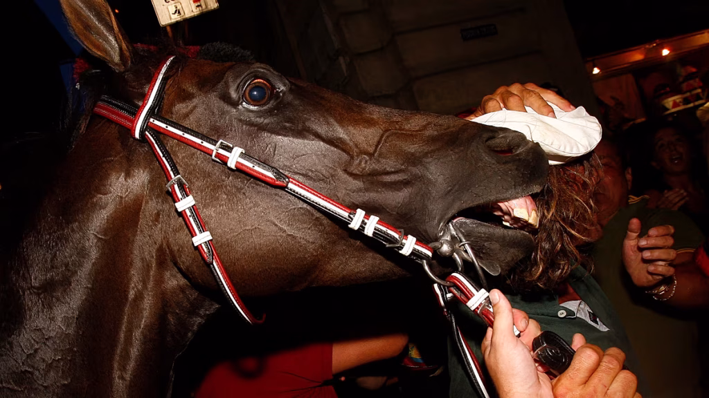 ¿Quienes quieren acabar con la tradición hípica de Palio de Siena?
