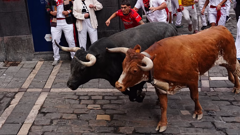 Tragedia en Cantabria: muere un ganadero corneado por su propio toro tras infectarse con una bacteria