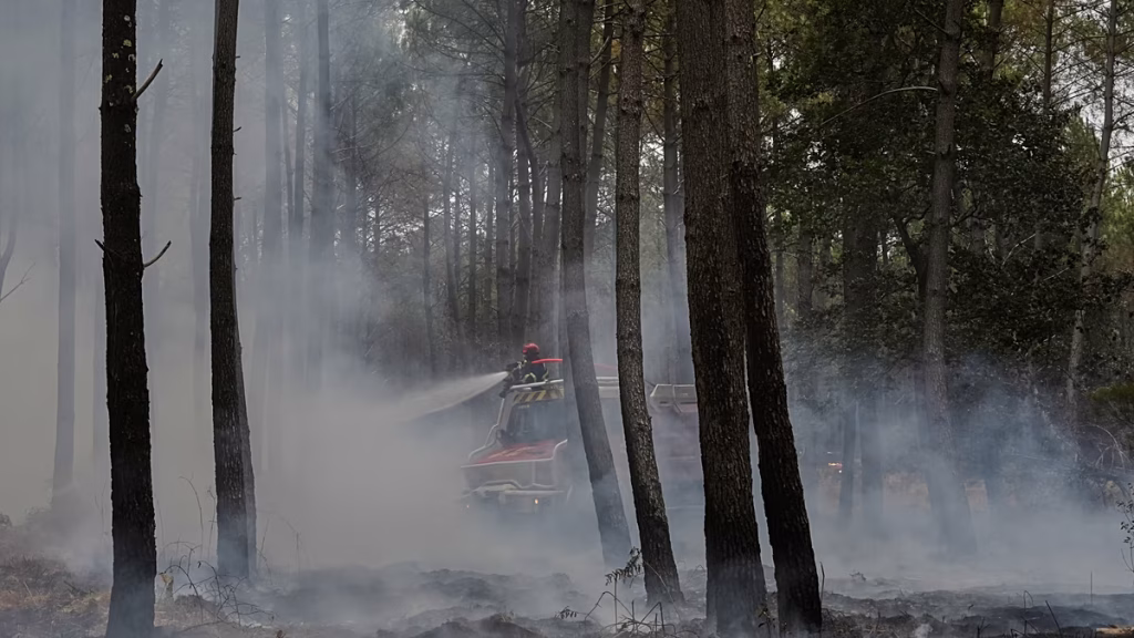Ucrania envía 70 bomberos a Francia para combatir el devastador incendio de Gironda
