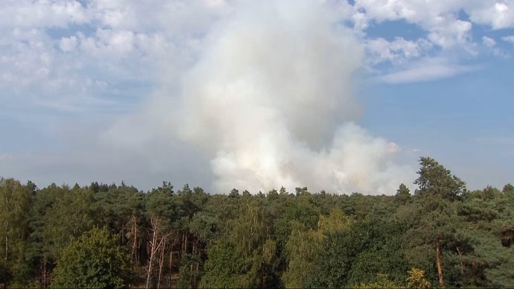 Un incendio se extiende en una reserva natural al sur de Países Bajos