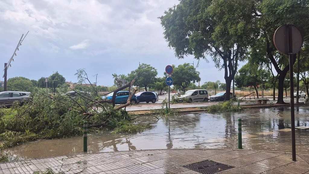 Un temporal sacude Valencia con vientos de hasta 149 km/h y deja importantes destrozos