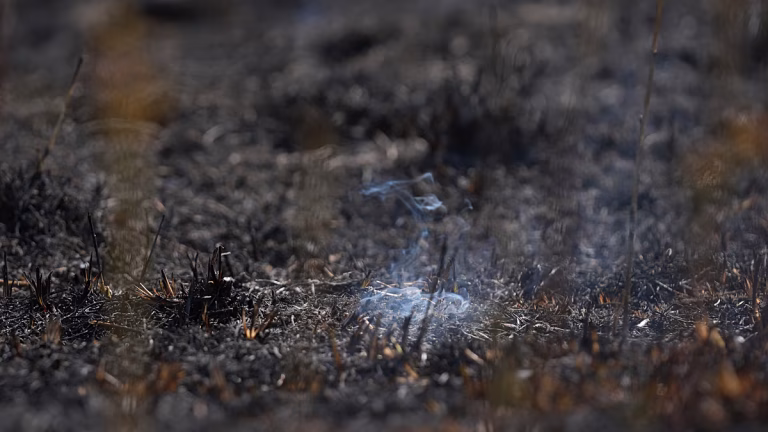Alemania asume que un incendio subterráneo en una mina de carbón es inextinguible