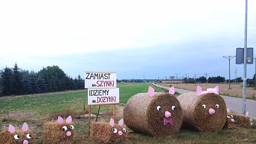 Así es la tradición rural polaca que transforma fardos de paja en arte y humor
