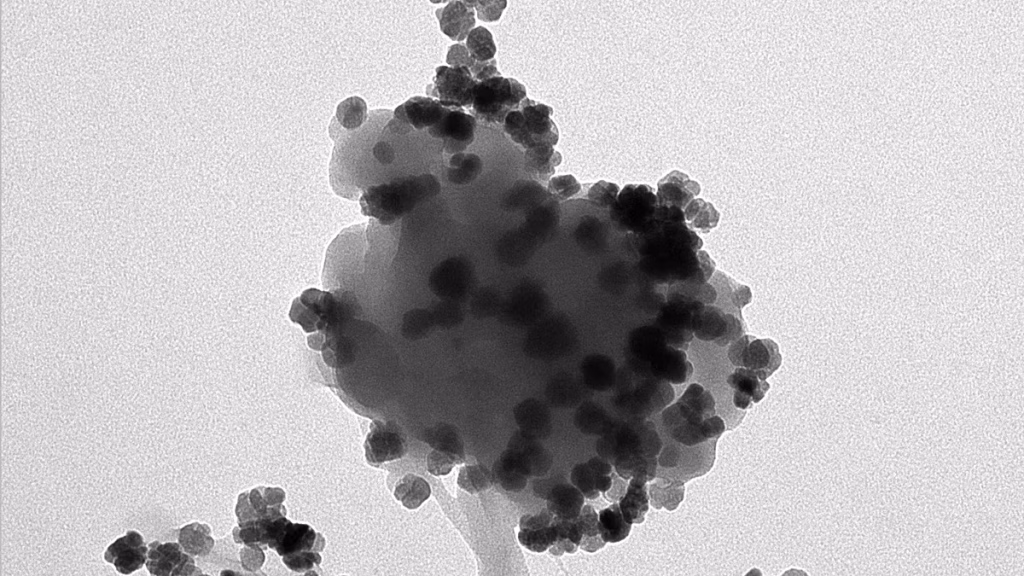 El CSIC diseña “nanoflores” magnéticas capaces de atrapar y transformar los nanoplásticos del agua