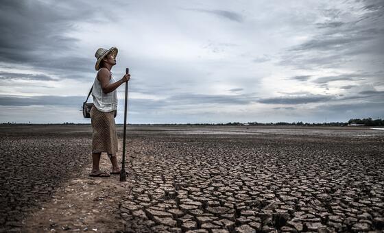 El mundo superará los 1,5 grados de calentamiento global, pero aún puede revertirse con políticas urgentes