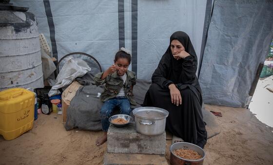 En Gaza, los hogares encabezados por mujeres solas enfrentan decisiones imposibles para sobrevivir