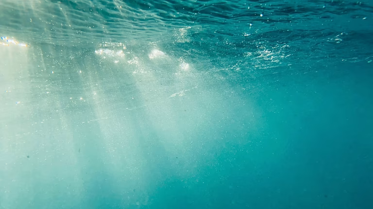 La energía solar funciona bajo el agua, científicos prueban paneles a 10 metros de profundidad