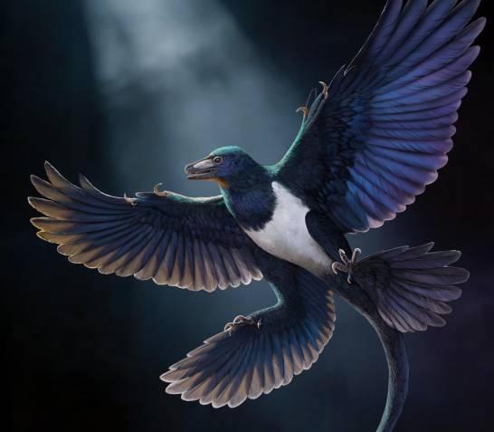 Los dinosaurios y las aves adquirieron su habilidad para volar de manera independiente
