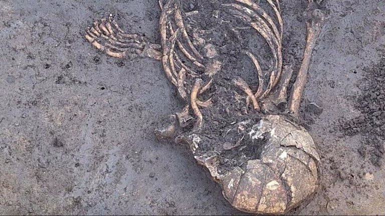 7.000 años oculto: el enigmático esqueleto hallado en Großköllnbach