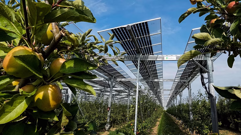 Agricultura y energía solar compiten por la tierra: ¿puede la agrivoltaica ser la solución?