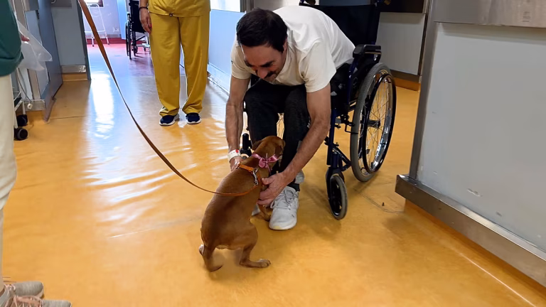 El Hospital São João de Portugal permite la visita de mascotas en las salas para humanizar los ingresos