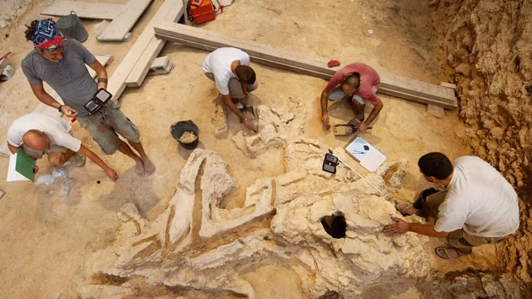 El yacimiento de Abric Romaní, a 50 km de Barcelona, desvela el ingenio neandertal hecho en madera