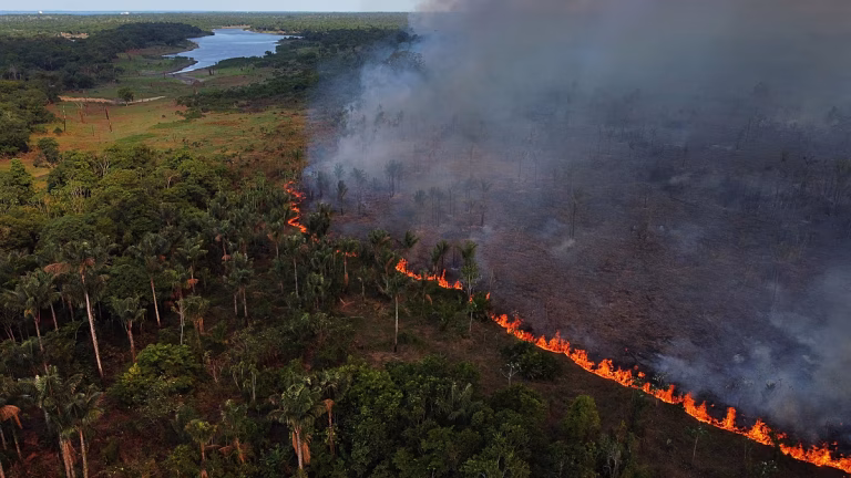 La deforestación amazónica cae a mínimo histórico, pero El Niño y las elecciones amenazan avances