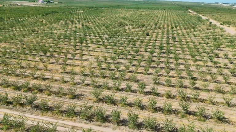 La escasez de agua y el alto coste de las importaciones amenazan la seguridad alimentaria en países sin litoral