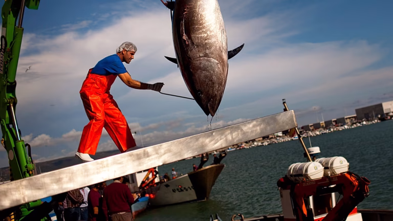 Las duras condiciones laborales de los pescadores, a debate en la UE: “No tenía otra opción”